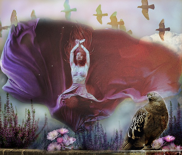 决都会吸引 决都会吸引