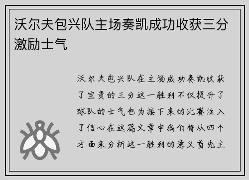 沃尔夫包兴队主场奏凯成功收获三分激励士气