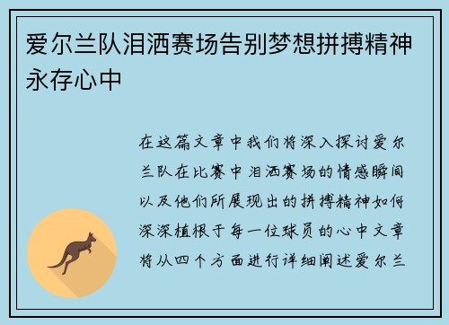 爱尔兰队泪洒赛场告别梦想拼搏精神永存心中