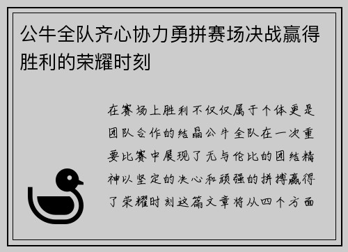 公牛全队齐心协力勇拼赛场决战赢得胜利的荣耀时刻