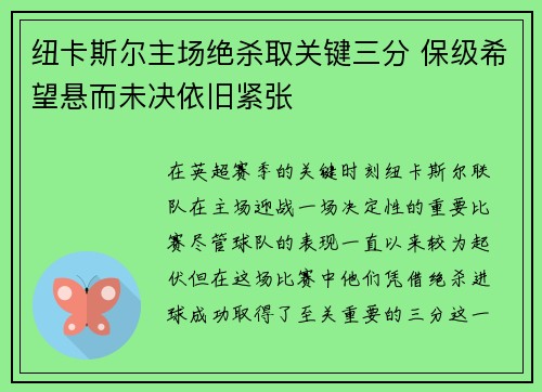 纽卡斯尔主场绝杀取关键三分 保级希望悬而未决依旧紧张