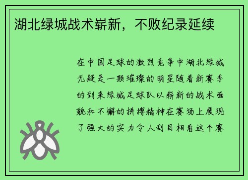 湖北绿城战术崭新，不败纪录延续