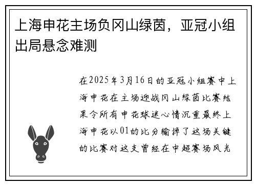 上海申花主场负冈山绿茵，亚冠小组出局悬念难测