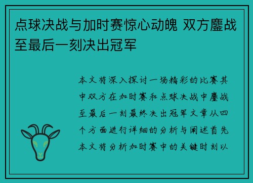 点球决战与加时赛惊心动魄 双方鏖战至最后一刻决出冠军
