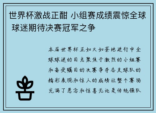 世界杯激战正酣 小组赛成绩震惊全球 球迷期待决赛冠军之争